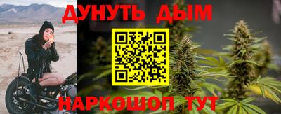шишки Краснодар