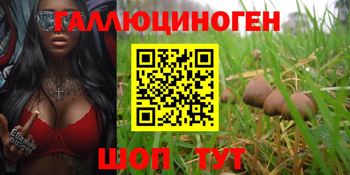 Псилоцибиновые грибы ЛСД  Вход с VPN  продажа наркотиков  Псилоцибиновые грибы MAGIC MUSHROOMS  Карпинск 